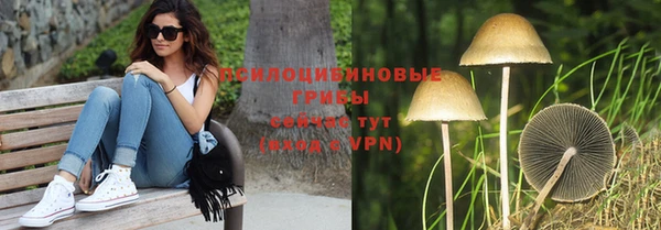2c-b Горняк