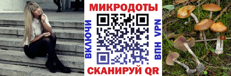 Псилоцибиновые грибы Cubensis  Купить  Кондопога 